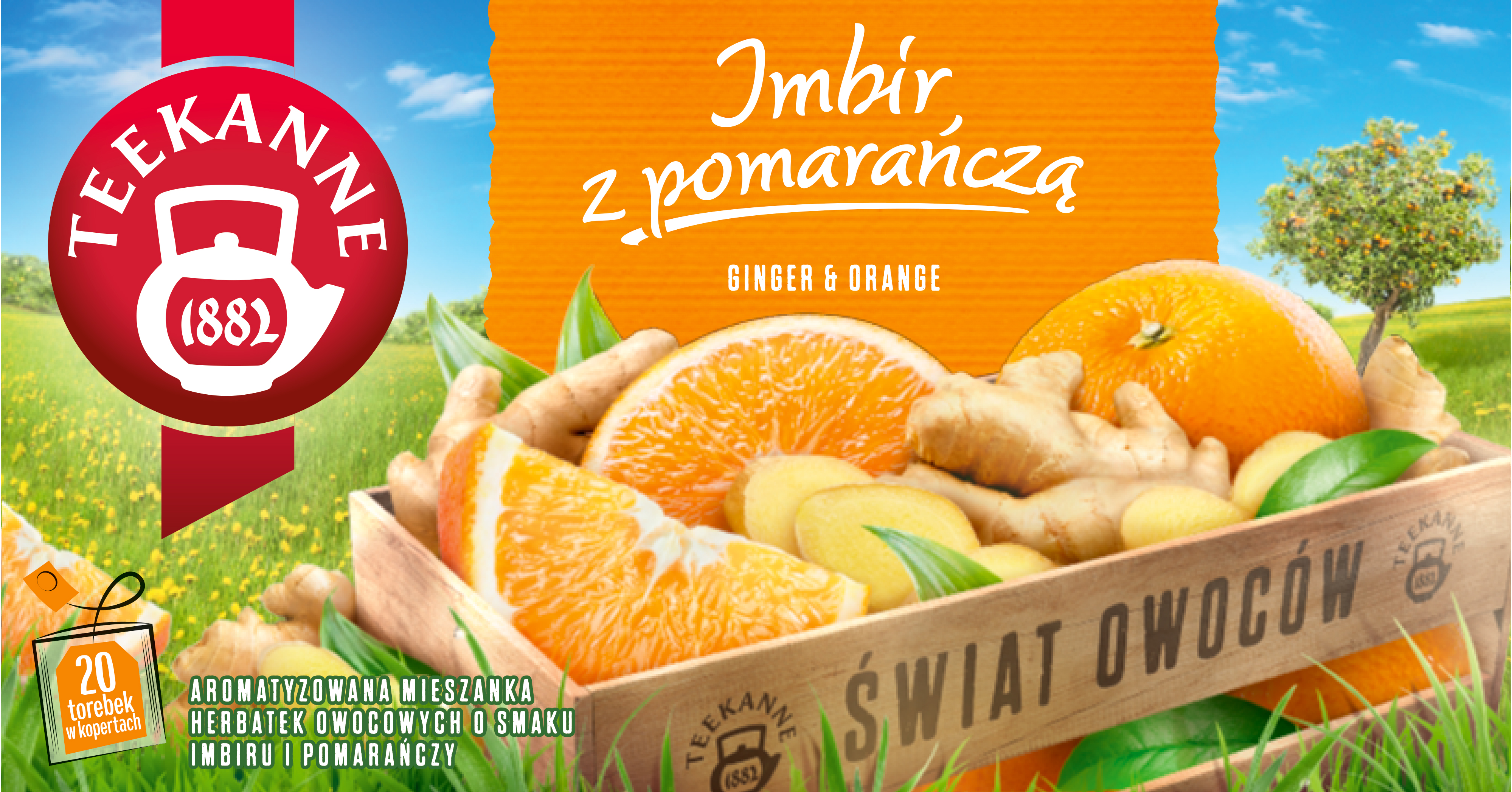 Herbatka owocowa TEEKANNE Imbir z pomarańczą 20 torebek